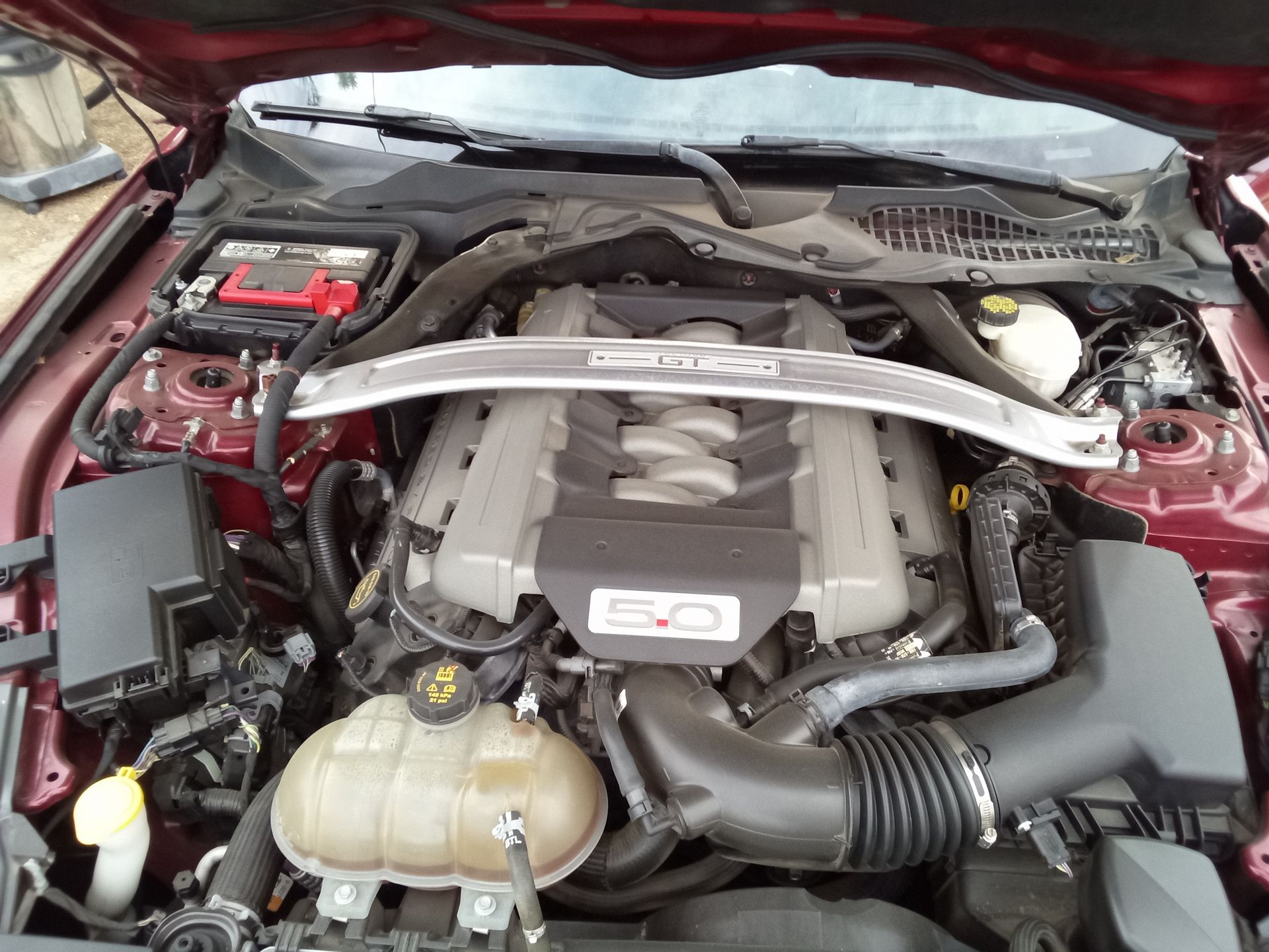 Auto Detailing Service | Platinum Detailing